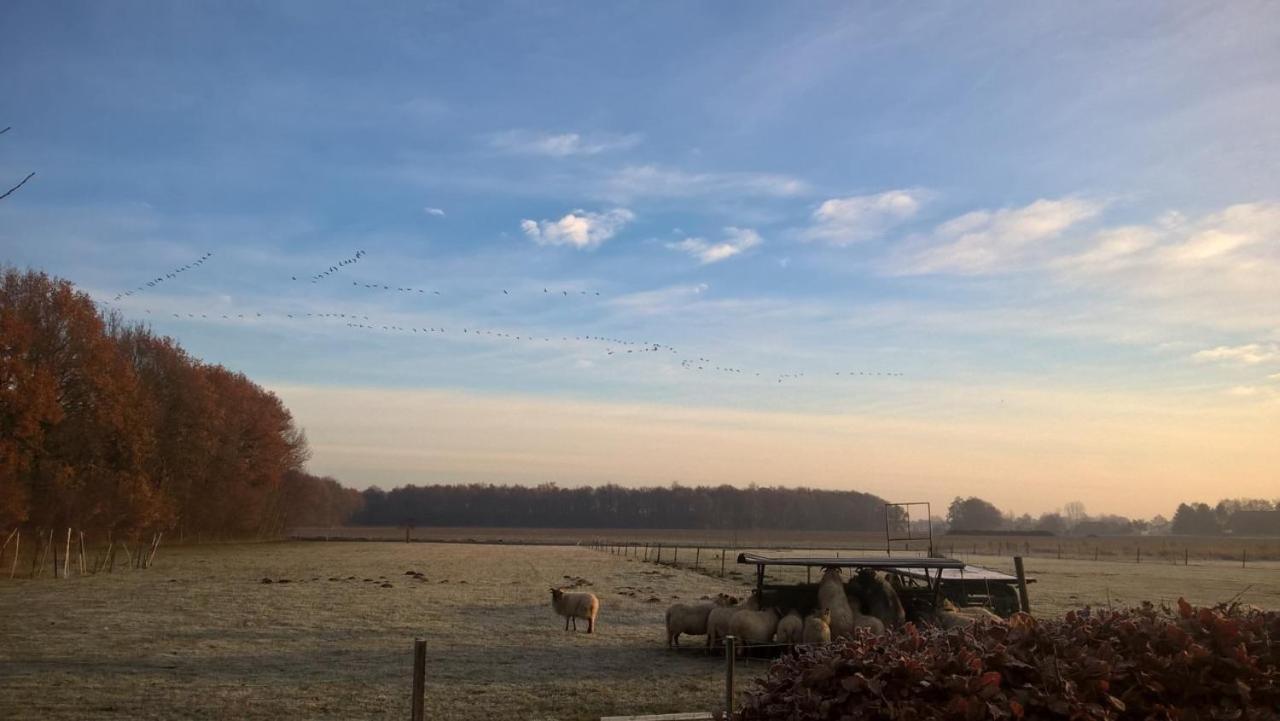 Onstwedde Boerderijkamer Korenbloem المظهر الخارجي الصورة