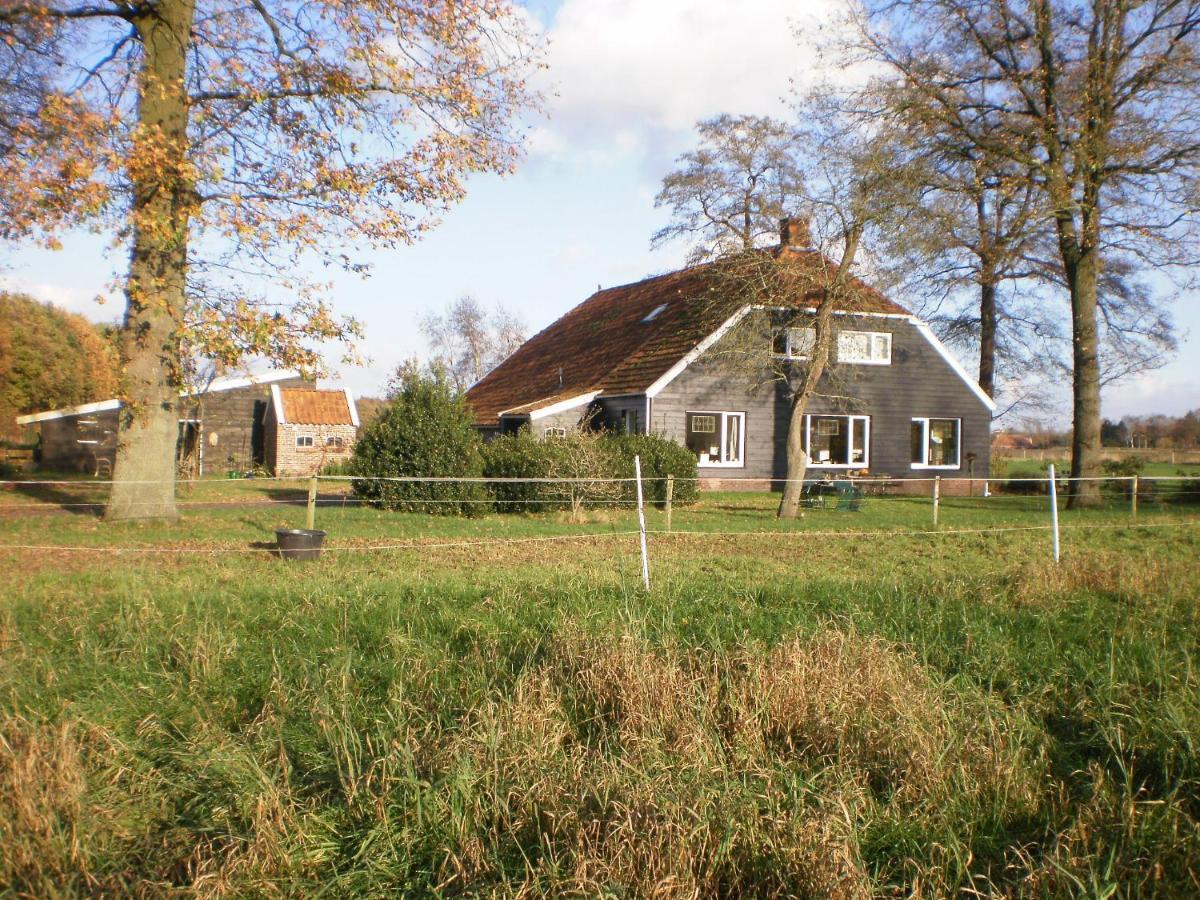 Onstwedde Boerderijkamer Korenbloem المظهر الخارجي الصورة