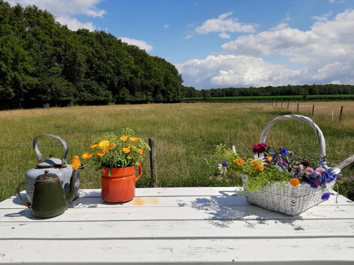 Onstwedde Boerderijkamer Korenbloem المظهر الخارجي الصورة